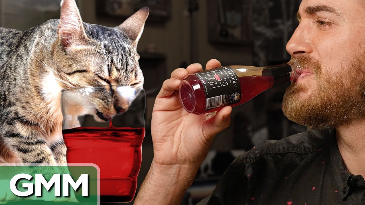 wine for cats