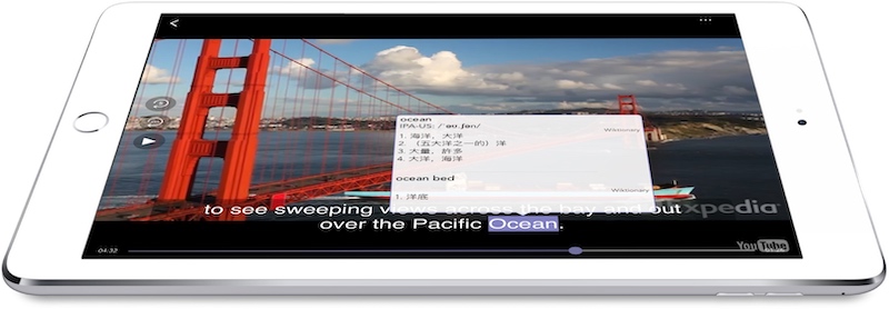 Woodpecker app on iPad